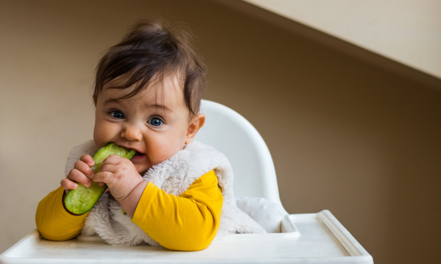 croomel Online-Produkte: Gesund, genussvoll & nachhaltig essen von Anfang an