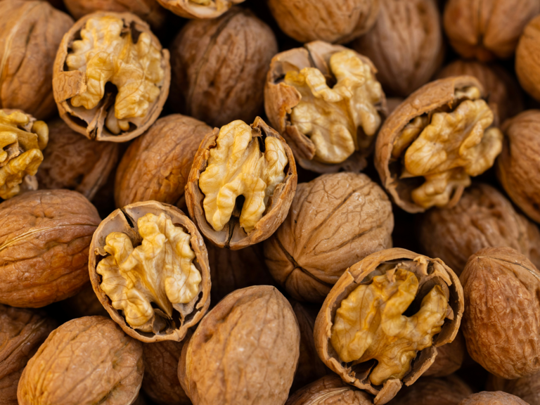 Omega-3 in Schwangerschaft, Stillzeit und bei Kleinkindern