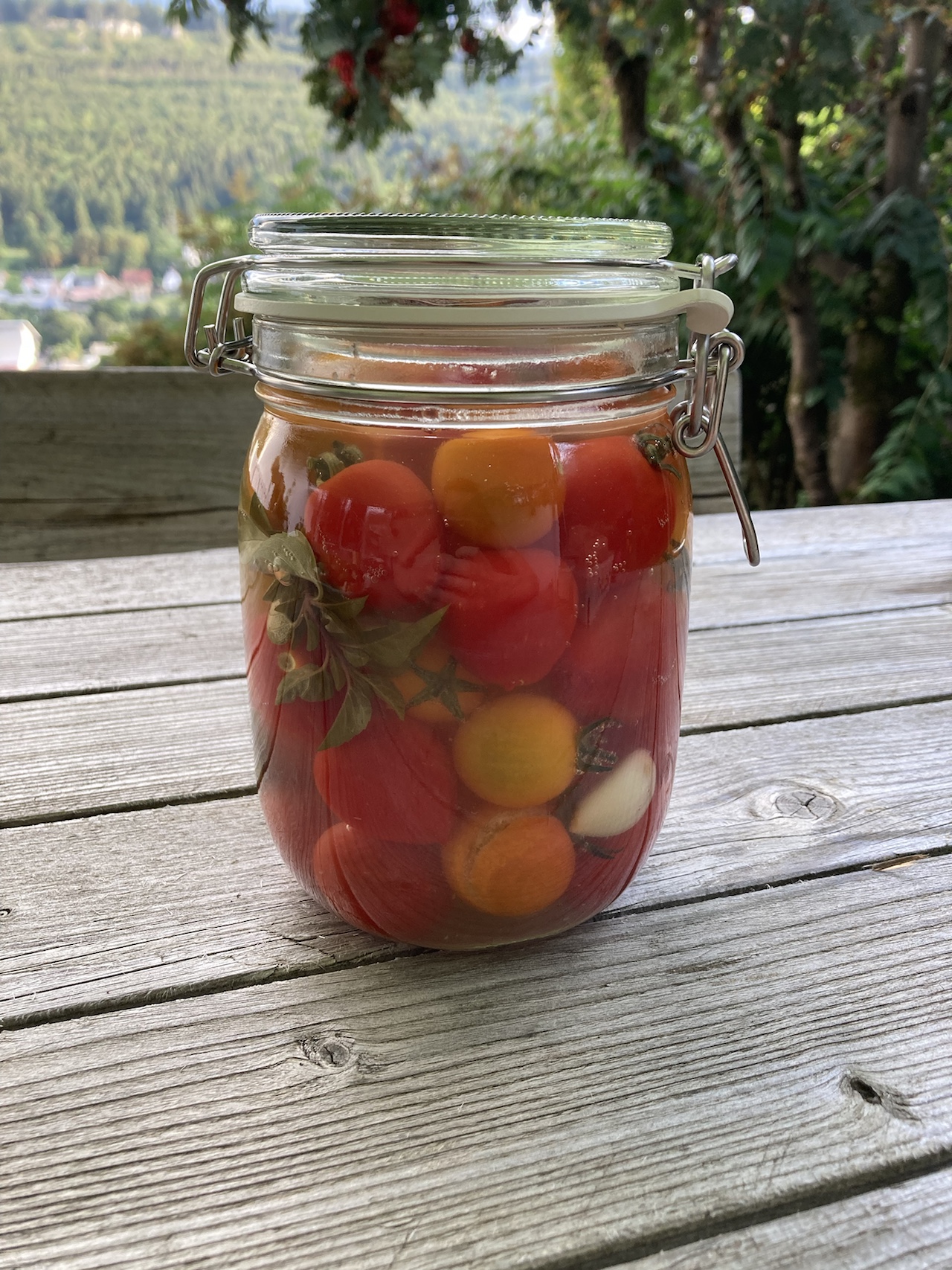Tomaten – Geschmacksexplosion