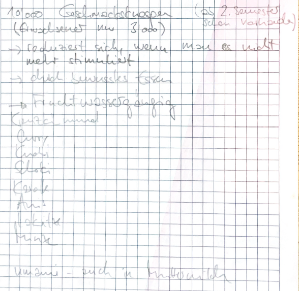 Notizen Seite 1
